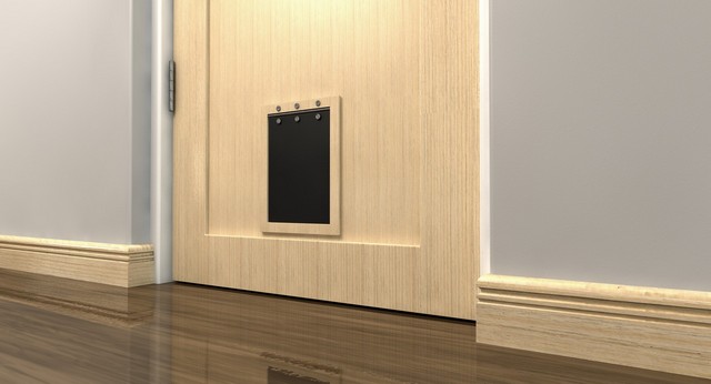 Cat Flap Installation Hammersmith, W6