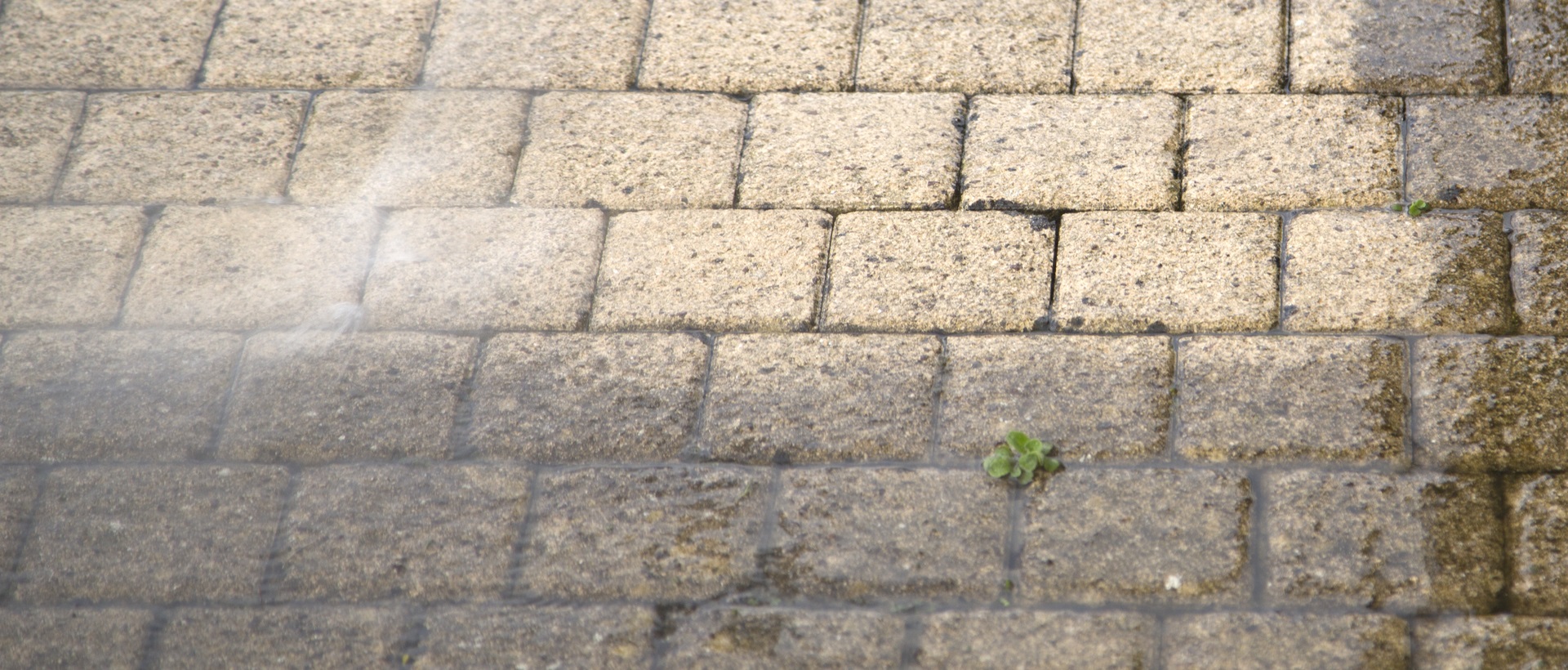 flagging and patios W6